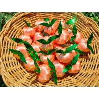 ราคา เหรียญโปรยทาน ตัวเปล่า10ชิ้น โปรยทานงานบวช โปรยทานสำเร็จรูป (21479777694)