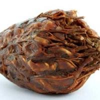 ราคา มะขามเปียก สด สะอาด รับประกันคุณภาพ (15081090733)