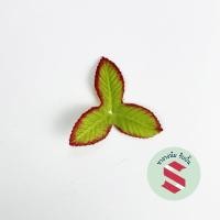 ราคา ทำไม้กฐินผ้าป่า ใบไม้ผ้า 3แฉกลายสวยมาก จำนวน100ชิ้น ตกแต่งเหรียญโปรยทาน (19526232037)