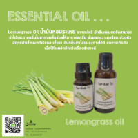 ราคา น้ำมันหอมระเหย กลิ่น ตะไคร้บ้าน Lemongrass oil Essential (7924969069)
