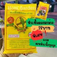 ราคา หัวเชื้อดองมะม่วง ตรานกแก้ว (10707477298)