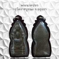 ราคา จี้พระ พระเครื่อง พระนาคปรก กรุวัดราชบูรณะ จ อยุธยา (21386681419)