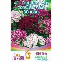ราคา เมล็ดพันธุ์ ดอกผีเสื้อ 30 เมล็ด 500 เมล็ด Dianthus chinensis เมล็ดนำเข้า (21408974039)