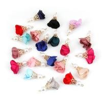 ราคา 10ชิ้น ถุงจี้ไข่มุกรูปดอกไม้พร้อมหมวกทองคำสำหรับทำเครื่องประดับ DIY ต่างหูแฟชั่นพวงกุญแจ Craft อุปกรณ์ตกแต่ง (9864619760)