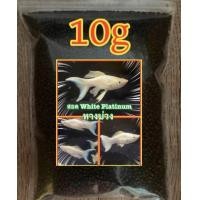 ราคา อาหารปลาไฮเกรดแบ่งขาย เม็ดจิ๋ว สำหรับปลๅสอด (21665028309)