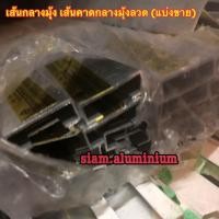 ราคา เส้นกลางมุ้งลวด เส้นคาดกลางมุ้งลวด แบ่งขาย (12494573669)