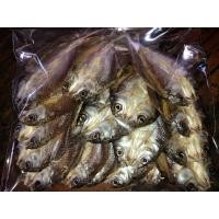ราคา ปลาขาวสร้อยแดดเดียว ปลาสดใหม่ทุกวันจ้า (21622832844)