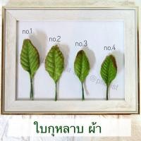 ราคา ใบกุหลาบ ห่อ 100 ใบ เบอร์ 1 9 ใบไม้ประดิษฐ์ ใบกุหลาบผ้า สำหรับงานฝีมือ สินค้าพร้อมส่ง มีบริการเก็บเงินปลายทาง (6379994493)