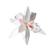 ราคา DGJKF กิ๊บติดผมสงกรานต์แฟชั่น2024 กิ๊บสงกรานต์ มงกุฎดอกไม้ ผ้าผ้าทอ คลิปติดผมรูปดอกไม้จำลอง ดอกไม้ประดับดอกไม้ โบฮีเมียน กิ๊บติดผมสไตล์เกาหลี หวานหวานแหววว อุปกรณ์เสริมผม คลิปปากเป็ดกล้วยไม้ ปาร์ตี้งา