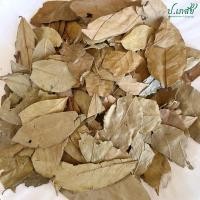 ราคา ใบกระวาน 50 กรัม 100 กรัม 500 กรัม 1 กิโล ใบกระวานแห้ง ใบเบย์ เบย์ลีฟ (19470068407)