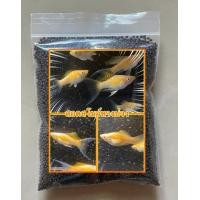 ราคา อาหารปลาไฮเกรดแบ่งขาย เม็ดจิ๋ว สำหรับปลๅสอด (21682112239)