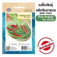 ราคา พริกจินดาแดง เจียไต๋ (21414866470)