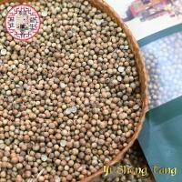 ราคา เม็ดผักชี ลูกผักชี ผักชีเมล็ดผักชี ลูกผักชี Coriander seeds เม็ดผักชี芫荽种子เมล็ดผักชี 芫荽 ผักชี เกรด A (17185651549)