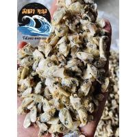 ราคา หัวปลากระตัก 1 kg (18476804457)