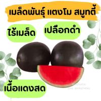 ราคา เมล็ดพันธุ์ แตงโม เมล่อน แคนตาลูป ทุกสายพันธุ์ 10 50 เมล็ด แตงโม แตงโมเหลือง แตงโมดำ แตงโมไร้เมล็ด (21343691990)
