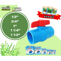 ราคา บอลวาล์วพีวีซี ขนาด 1 2 1 1 2 นิ้ว วาล์วพีวีซี PVC พีวีซี อุปกรณ์ประปา ส่งเร็ว แถมฟรี เมล็ดพันธุ์ผักเจียไต๋ (20501634279)
