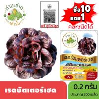 ราคา ทำมะชาดฟาร์ม ซื้อ10แถม1 เมล็ดพันธุ์ เรดบัตเตอร์เฮด ขนาด0 2กรัม ประมาณ200เมล็ด RED BUTTERHEAD ผักสลัด เมล็ดพันธุ์พืช เมล็ดผัก ปลูกผักสวนครัว (21645070225)
