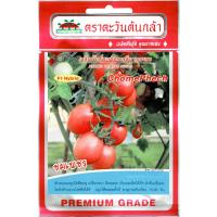 ราคา เมล็ดพันธุ์ มะเขือเทศสีดาลูกผสม ชมเพชร ตราตะวันต้นกล้า (1439330653)