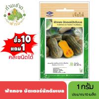 ราคา เจียไต๋ ซื้อ10แถม1 บัตเตอร์นัท ดัมเบล ขนาด1กรัม ประมาณ10 เมล็ด Pumpkin Butternut ฟักทอง เมล็ดพันธุ์พืช เมล็ดผัก ปลูกผักสวนครัว (2811958354)