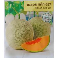 ราคา เมล็ดพันธุ์ แตงโม เมล่อน แคนตาลูป ทุกสายพันธุ์ 10 50 เมล็ด แตงโม แตงโมเหลือง แตงโมดำ แตงโมไร้เมล็ด (20959630106)