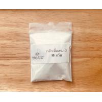 ราคา Tempeh Kit ชุดทำเทมเป้ถั่วเหลืองล้วน เทมเป้ทำเอง เทมเป้สดใหม่ Tempeh Super Food (13909400239)