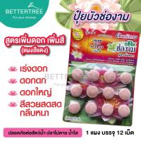 ราคา ปุ๋ยบัวช่องาม ปลอดภัยต่อสัตว์น้ำ เม็ดบำรุงบัว เร่งดอก บำรุงต้น ปุ๋ย ปุ๋ยบัว บัว fertilizer (21516523218)