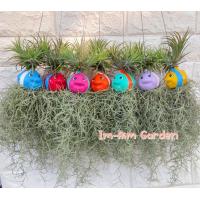 ราคา เคราฤาษีแต่งตุ๊กตาเซรามิค กระถางดินเผา (19449106928)