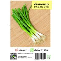 ราคา เมล็ดพันธ์ผัก ผักผล เจียไต๋ ผักสวนครัว ผักชี ต้นหอม พริกขี้หนูสวน (21596138203)