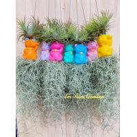 ราคา เคราฤาษีแต่งตุ๊กตาเซรามิค กระถางดินเผา (19449106926)