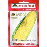 ราคา เมล็ดพันธุ์ ข้าวโพดหวานลูกผสม ซันสวีท 05 ตราตะวันต้นกล้า (1404946311)