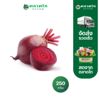 ราคา บีทรูท 250 ก แพ็ค สั่งเลยที่ตลาดไทออนไลน์ (21725430656)