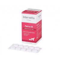 ราคา Intervetta Ferro B Dog Supplement 100 tabs อาหารเสริม อาหารเสริมสุนัข อาหารเสริมบำรุงเลือด บรรจุ 100 เม็ด (21441492162)