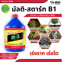 ราคา วิตามิน B 1 บี1 มัลติ สตาร์ท ขนาด 4 ลิตร แกลลอน ยาเร่งราก บำรุง ราก วิตตามิน บี1 vitamin b1 ยา เร่งราก rooter บำรุงราก น้ำยา b1 เพิ่มการ แตกราก ปุ๋ยราก start น้ำยาเร่งราก (21717510318)