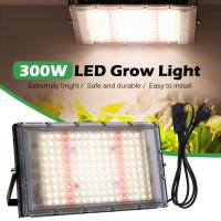 ราคา 220V Full Spectrum LED Grow Light 50W 100W 300W ไฟปลุกต้นไม้ ไฟช่วยต้นไม้ตัวเร็ว แสงขาว แสงธรรมชาติ มีสวิตช์ปิดเปิด สายไฟยาว1 5โมตร (21501666898)