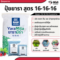 ราคา ปุ๋ย เรือใบ ยารา สูตร 16 16 16 8 24 24 46 0 0 25 7 7 15 0 0 13 13 21 21 7 14 ปุ๋ยเร่งดอก เร่งผล เร่งโต ปุ๋ยยารา ยาร่า (21418978025)