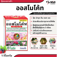 ราคา ปุ๋ย ออสโมโค้ท ขนาด 1 กิโลกรัม พรีเมี่ยม ของแท้ 100 บำรุงต้น 13 13 13 เร่งดอก 12 25 6 ปุ๋ยแคคตัส ปุ๋ยชวนชม ปุ๋ยเม็ด ปุ๋ยต้นไม้ ปุ๋ยเร่งใบ ปุ๋ยดอกไม้ ออสโมโคส (18951517551)