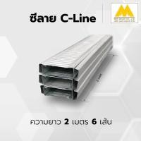 ราคา ซีลาย โครงฝ้าฉาบเรียบ 1 เส้น ยาว 2 เมตร (21456235257)