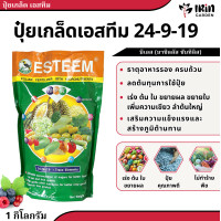ราคา ปุ๋ยเกล็ด 20 20 20 24 9 19 9 19 34 ปุ๋ยทางใบ เอสทีม 1 กิโลกรัม ปุ๋ยคุณภาพดี ละลายน้ำง่าย บำรุง ต้น ดอก ผล เร่งโต เร่งต้น เร่งดอก เร่งผล เร่งหวาน ปุ๋ย (20029944934)