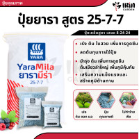 ราคา ปุ๋ย เรือใบ ยารา สูตร 16 16 16 8 24 24 46 0 0 25 7 7 15 0 0 13 13 21 21 7 14 ปุ๋ยเร่งดอก เร่งผล เร่งโต ปุ๋ยยารา ยาร่า (21418978027)