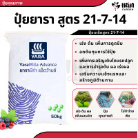 ราคา ปุ๋ย เรือใบ ยารา สูตร 16 16 16 8 24 24 46 0 0 25 7 7 15 0 0 13 13 21 21 7 14 ปุ๋ยเร่งดอก เร่งผล เร่งโต ปุ๋ยยารา ยาร่า (21418978034)