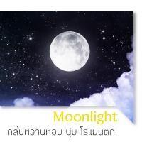 ราคา AMAREE น้ำมันหอมระเหย สำหรับ เตาเผาอโรม่า ขนาด 30 ml Aroma Oil 30 ml (20764933467)