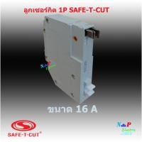 ราคา SAFE T CUT เซอร์กิต เบรคเกอร์ STC แบบอเมริกา Plug in สีขาว 1P 10A 32A (9698764659)