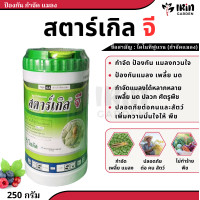 ราคา สตาร์เกิลจี 250 กรัม กำจัดแมลง ป้องกันแมลง ยาฆ่าแมลง ยาฆ่าเพลี้ย กำจัดหนอน ศัตรูพืช เพลี้ย เพลี้ยแป้ง แมลงหวี่ขาว ไร มด หนอน ด้วง ปลวก สตาร์เกิล จี stargle g (21237162019)