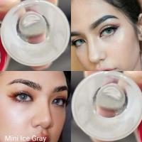 ราคา คอนแทคเลนส์ Mini Ice สีเทา ตาล ฟ้า เขียว Gray Brown Blue Green สายตาปกติ (16758491747)