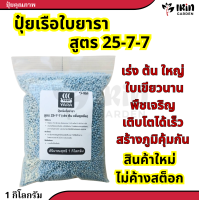 ราคา ปุ๋ย เรือใบ ยารา ปุ๋ยสูตร 16 16 16 8 24 24 46 0 0 25 7 7 15 0 0 13 13 21 21 7 14 ขนาด 1 กิโลกรัม ปุ๋ยเร่งดอก เร่งผล เร่งโต ปุ๋ยยารา ยาร่า (21241429657)