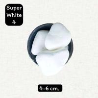 ราคา หินสีขาว หินหิมะ 1kg หินโรยกระถาง หินโรยพื้น หินแต่งสวน หินตู้ปลา (21738306945)