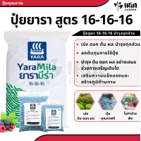 ราคา ปุ๋ย เรือใบ ยารา สูตร 16 16 16 8 24 24 46 0 0 25 7 7 15 0 0 13 13 21 21 7 14 ปุ๋ยเร่งดอก เร่งผล เร่งโต ปุ๋ยยารา ยาร่า (20449257189)