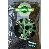 ราคา กระพังโหม หรือตดหมูตดหมา อบแห้ง ขนาด 1Kg แก้ตานซาง แก้ดีรั่ว บำรุงกำลัง เป็นยาอายุวัฒนะ แก้ธาตุพิการ แก้ท้องเสีย (11046927553)