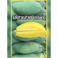 ราคา มะม่วงเขียวเสวย มะม่วงดิบมันๆ สุพรรณบุรี สุกหวาน ดิบมันกรอบ (17720454076)