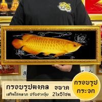 ราคา กรอบรูปมงคลปลามังกรทอง1ตัว พร้อมส่งมีเก็บปลายทาง (21425963854)